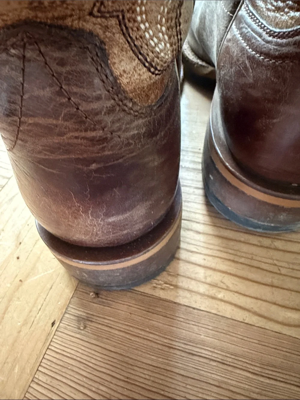 Ariat classic western